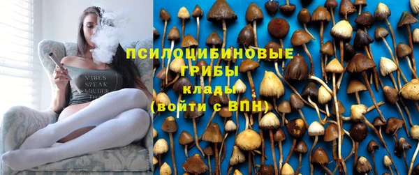МДПВ Абаза