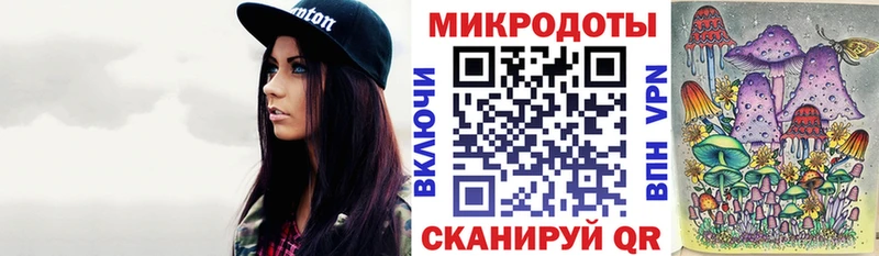 Псилоцибиновые грибы Psilocybe Курчатов