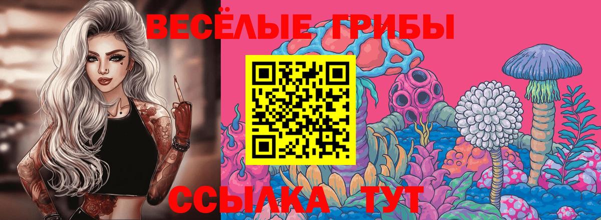 Курчатов  Галлюциногенные грибы GOLDEN TEACHER  Вход с VPN 