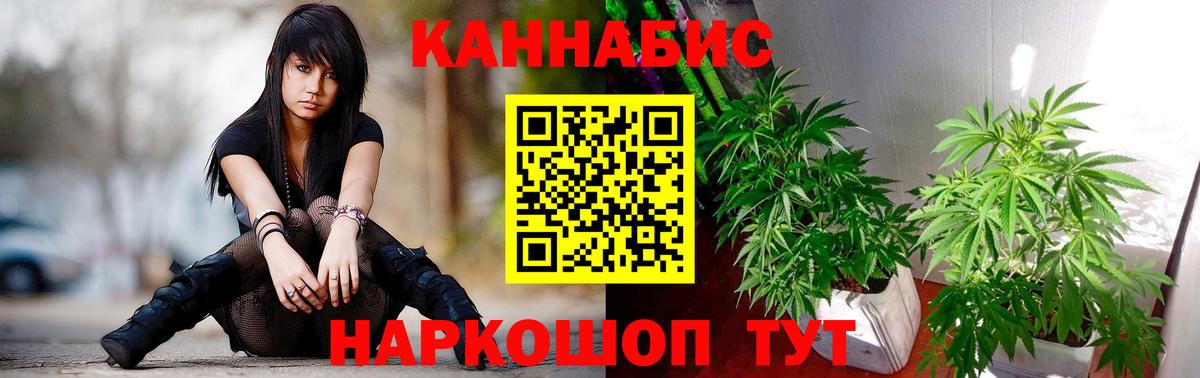 Курчатов  Бошки марихуана семена  Марихуана индика  Бошки марихуана White Widow  Вход с VPN  Канабис план 